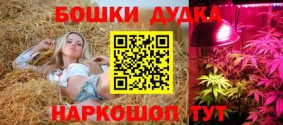 мяу мяу мука Будённовск
