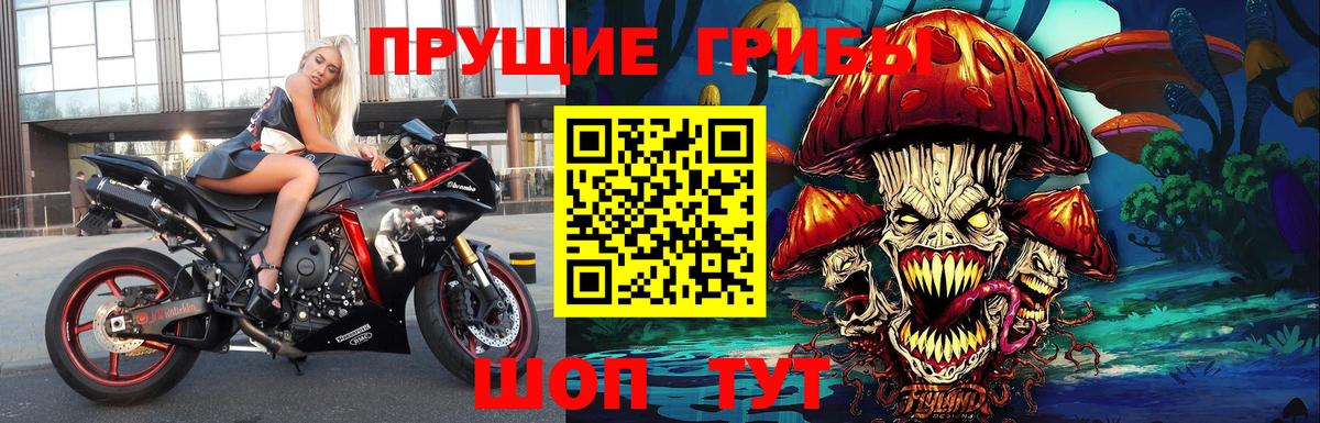 Уссурийск  Галлюциногенные грибы Cubensis  Вход с VPN 